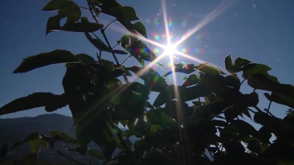 Meteorolozi Objavili Kakvo Nas Vrijeme Očekuje Do Sredine Juna - N1